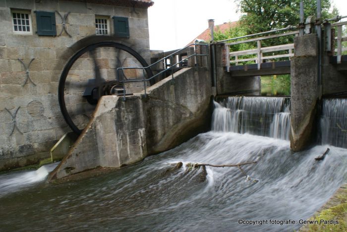 waterwild.jpg